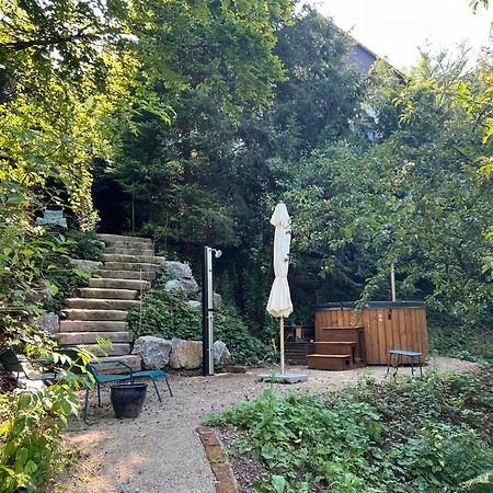 Waldseele Appartement Battenberg  Экстерьер фото