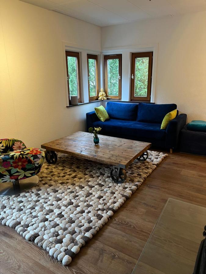 Waldseele Appartement Battenberg  Экстерьер фото