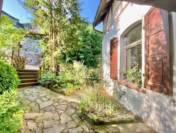 Waldseele Appartement Battenberg  Экстерьер фото